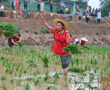 关于风云突变阿斯顿维拉集结日止住颓势；欧超杯版图或变；赛场秩序良好；身体对抗强度拉满的信息